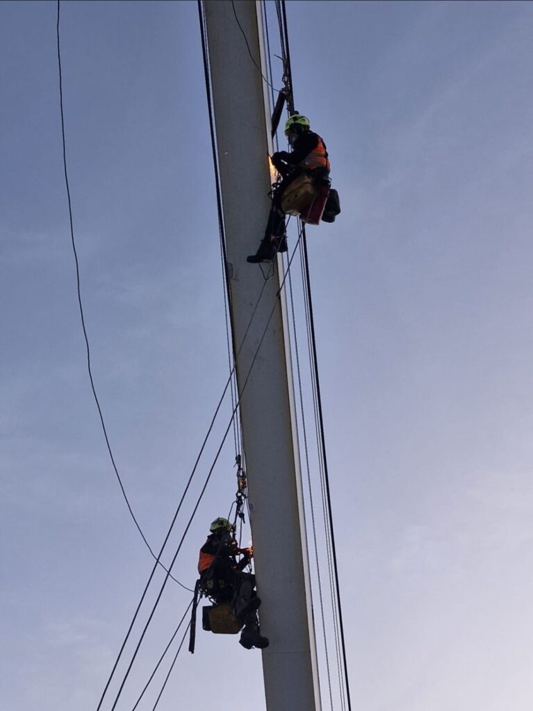 whatsapp image 2026 03 17 at 1.03.05 pm (2)