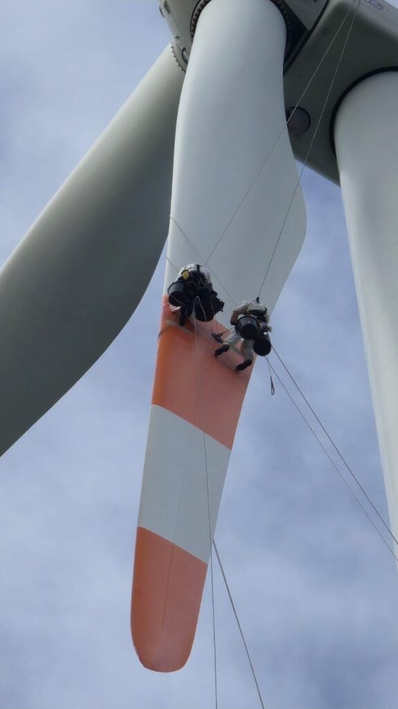 whatsapp image 2026 03 17 at 1.03.05 pm