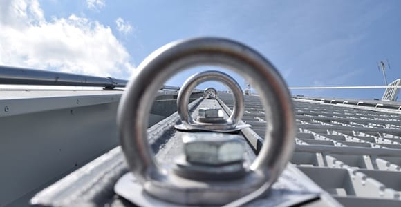 whatsapp image 2026 03 20 at 11.10.40 am (1)