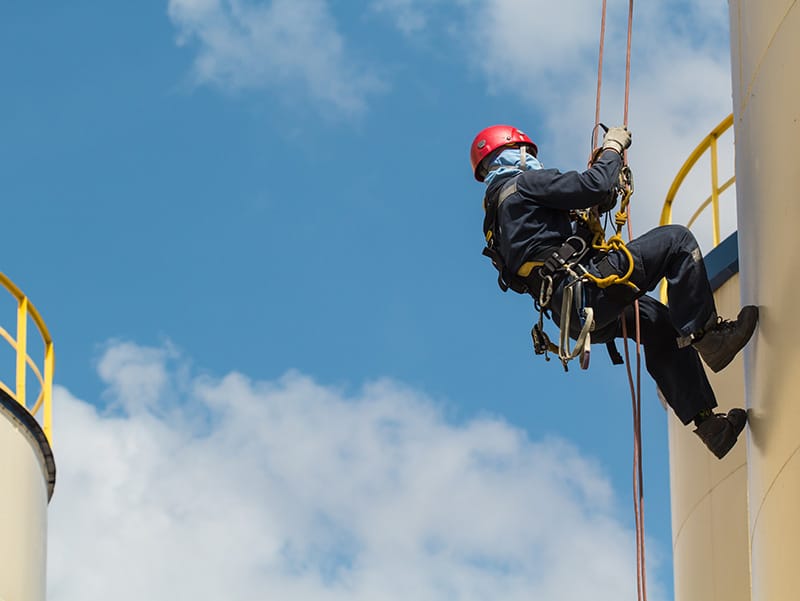 whatsapp image 2026 03 20 at 11.26.29 am